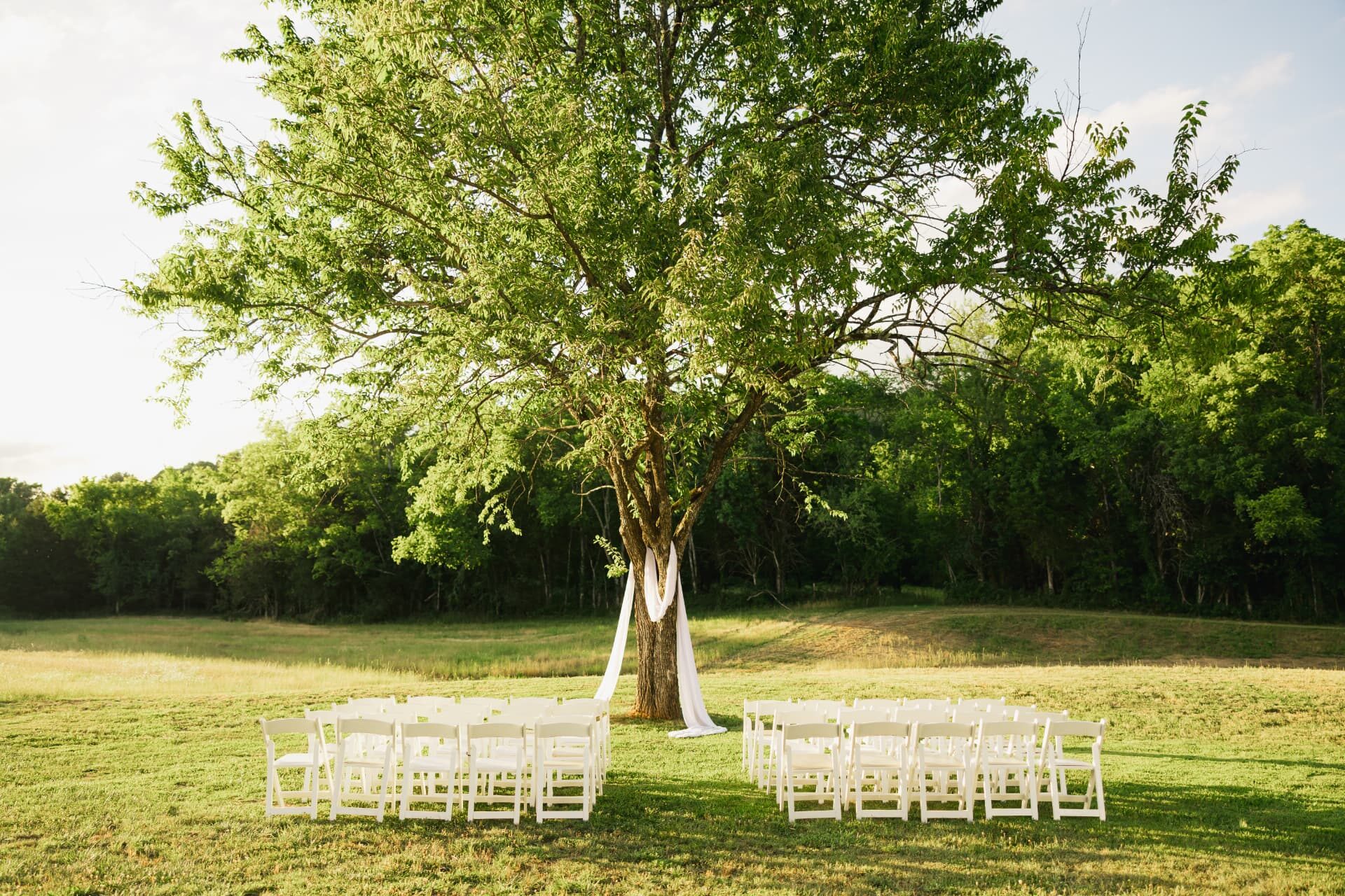 Ceremony chairs beneath the draped heritage tree at Stonewall Ranch