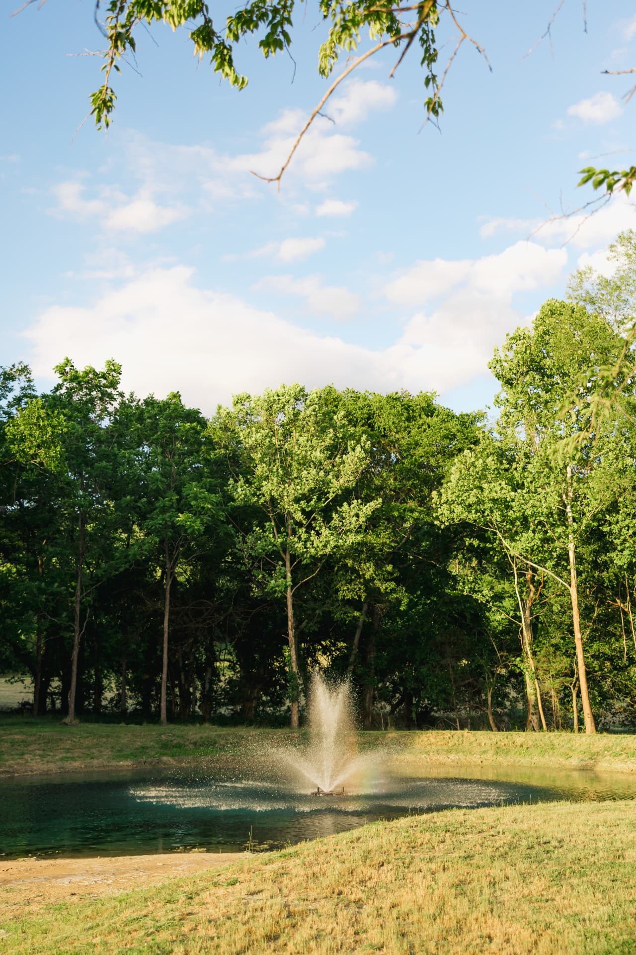 The pond fountain framed by trees at golden hour