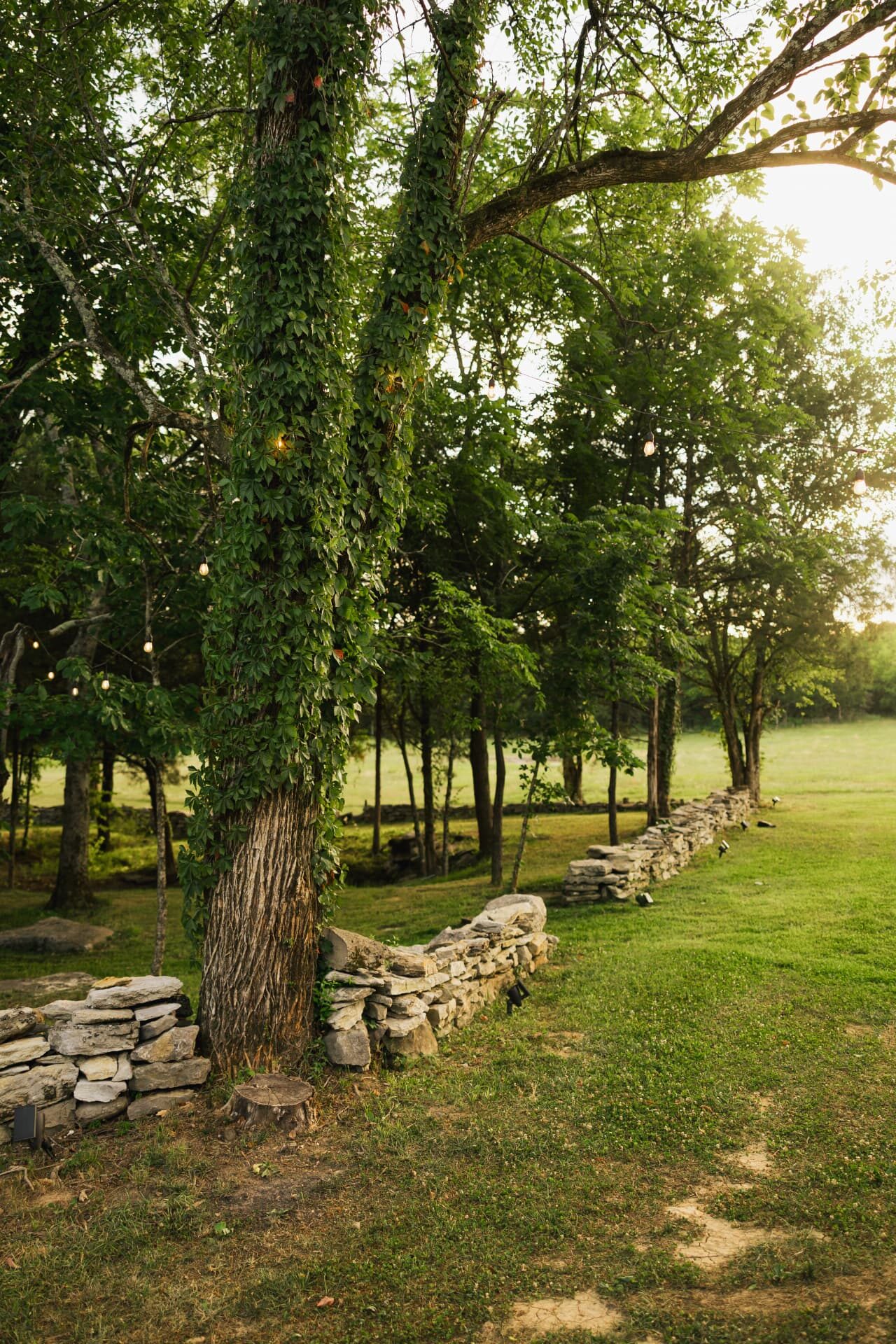Historic stone wall and string lights along the tree line